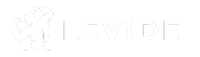 Levide Knee Therapy